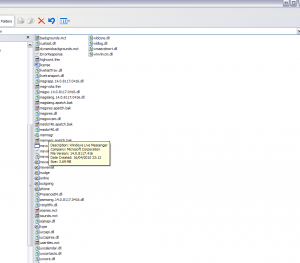 MSN program files folder